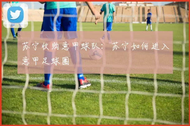 苏宁收购意甲球队：苏宁如何进入意甲足球圈