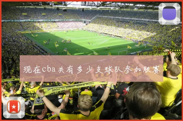 现在cba共有多少支球队参加联赛