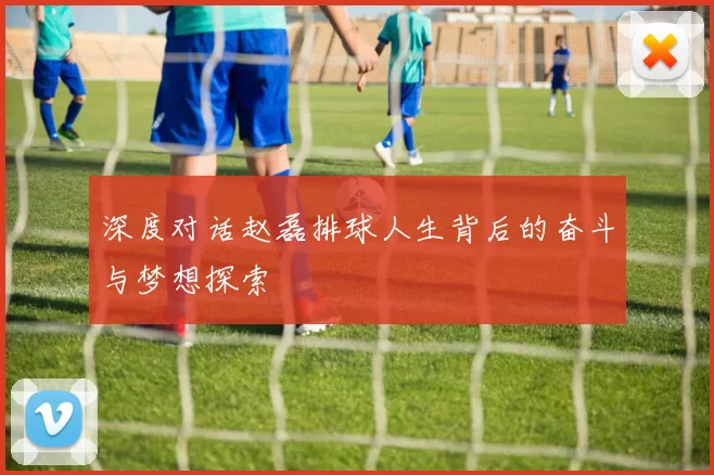 深度对话赵磊排球人生背后的奋斗与梦想探索