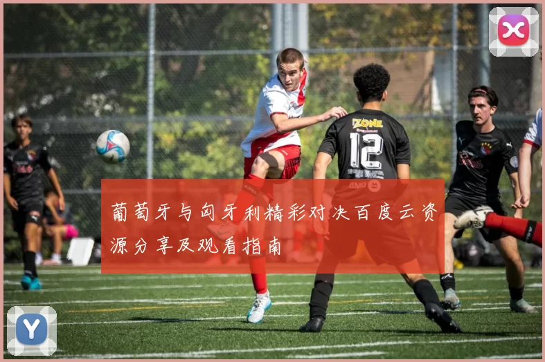 葡萄牙与匈牙利精彩对决百度云资源分享及观看指南