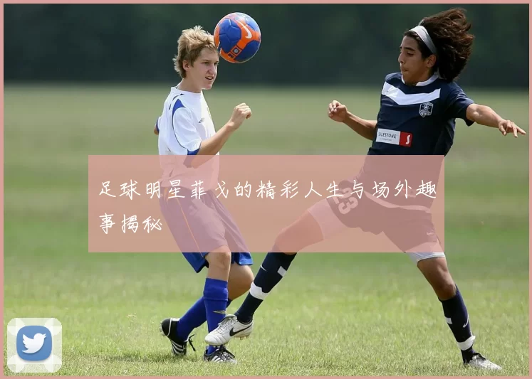 足球明星菲戈的精彩人生与场外趣事揭秘
