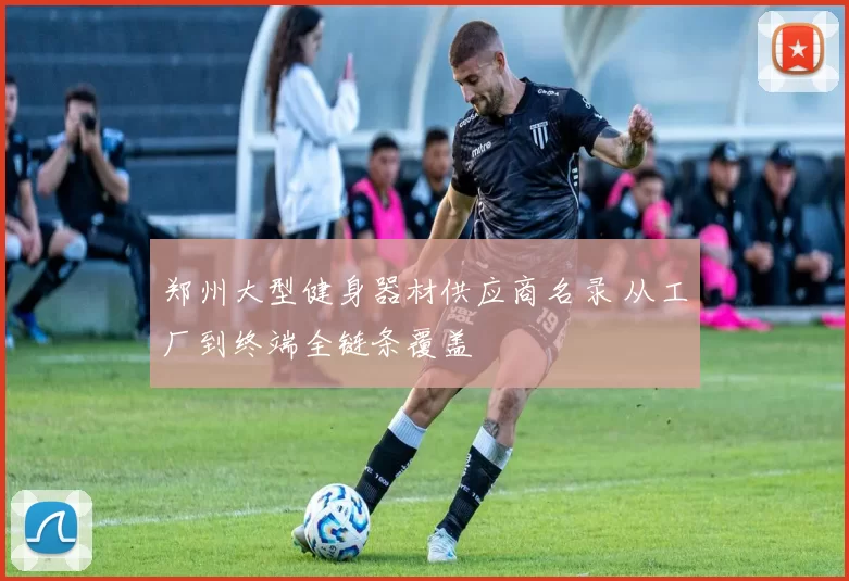郑州大型健身器材供应商名录 从工厂到终端全链条覆盖