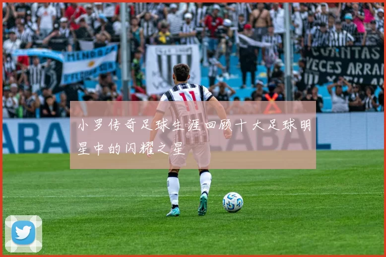 小罗传奇足球生涯回顾十大足球明星中的闪耀之星