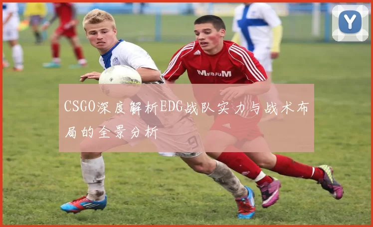 CSGO深度解析EDG战队实力与战术布局的全景分析