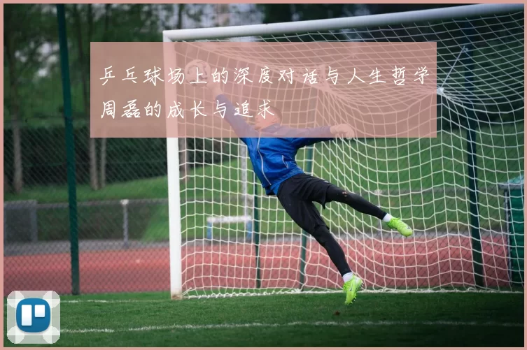 乒乓球场上的深度对话与人生哲学周磊的成长与追求