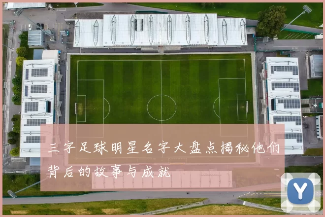 三字足球明星名字大盘点揭秘他们背后的故事与成就