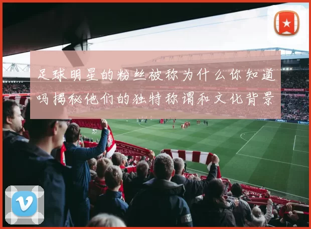 足球明星的粉丝被称为什么你知道吗揭秘他们的独特称谓和文化背景