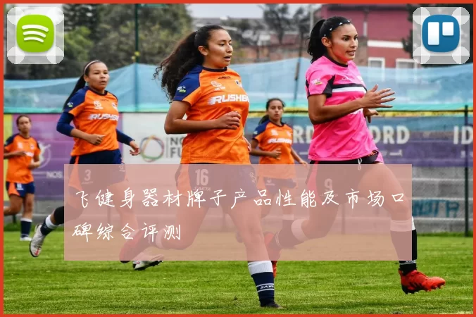 飞健身器材牌子产品性能及市场口碑综合评测