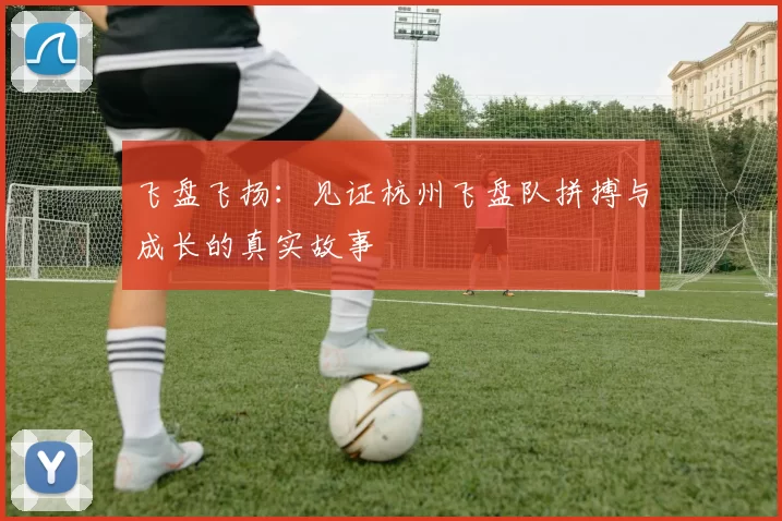 飞盘飞扬：见证杭州飞盘队拼搏与成长的真实故事
