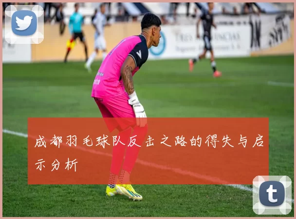 成都羽毛球队反击之路的得失与启示分析
